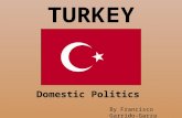 Turkey: Domestic Politics