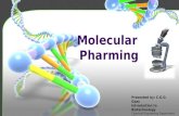 Molecular pharming