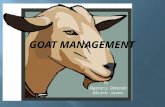 Goat management