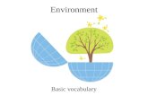 Environment: basic geographical vocabulary
