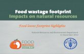 Food losses footprint highlights