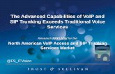 North American VoIP Access and SIP Trunking Services Market