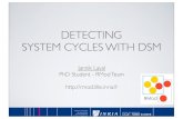 Detecting Cycles with DSM