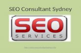 Seo Consultant Sydney