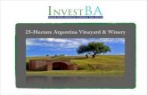 For Sale: 25-Hectare Argentina Vineyard and Turnkey Winery