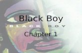 Black Boy Chapter 1