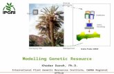 Modeling Genetic Resources