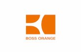 2.3 номинацияboss orange party report