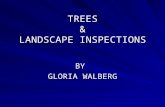 Tree & Landscape Inspections