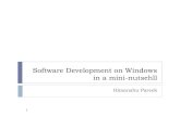 Software development windows nutshell