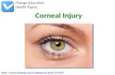 Corneal Injury