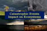 Catastrophic events impact on the ecosystem (nx power lite)