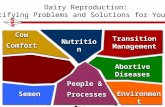 Dairy Reproduction: Identifying Problems and Solutions for Your Herd