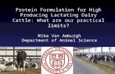 How Low Can We Go: Nitrogen in Dairy Rations- Mike Van Amburgh
