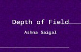Depth of field Assignment by Ashna Saigal