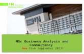 MSc Business Analysis and Consultancy at Hertfordshire Business School