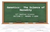 Genetics section 1 notes