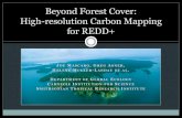 REDD Panama 2011 - Joseph Masacaro / High-resolution carbon mapping for REDD+