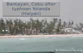 Bantayan after Haiyan