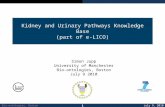 Kidney and Urinary Pathways Knowledge Base (part of e-LICO)