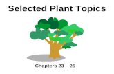 Biology - Chp 23-25 - Selected Plant Topics - PowerPoint
