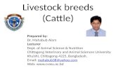 cvasu 19 as mahabub cattle breeds