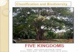 Unit 1 classification biodiversity presentation