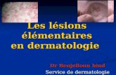 lésions elementaires en dermatologie