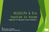 Wildlife & Eco tourism in Assam