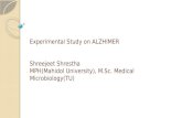 Experimental study on alzhimer