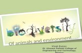 Biodiversity of animals 1