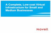 A Complete, Low-cost Virtual Infrastructure for Small and Medium Businesses