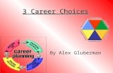 3 career choices