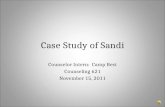 Case study of sandi