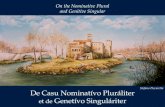 De Casu Nominativo Pluraliter et de Genetivo Singulariter (Latine atque Anglice)