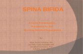 CP of Spina Bifida