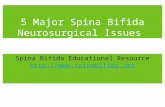 5 Major Spina Bifida Neurosurgical Issues