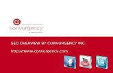 Convurgency Inc - SEO Overview