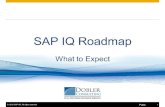 SAP IQ Roadmap Webinar February 27 2014