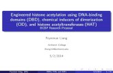 Engineered histone acetylation using DNA-binding domains (DBD), chemical inducers of dimerization (CID), and histone acetyltransferases (HAT) BCBP Research Proposal