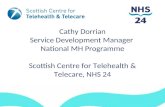 ms space North 2013: Telehealth and Telecare powerpoint presentation by Cathy Dorrian