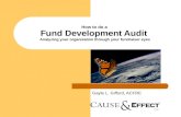How to do a fund development audit   c effect