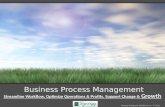 Business Process Management - Synergy Computer Solution
