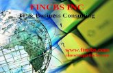 FINCBS - IT & Business Consulting