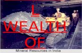 Mineral wealth of india