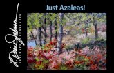 Just Azaleas Collection: Landscape Paintings