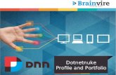 DNN Web & Module Development Services by Brainvire