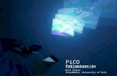 PiCo: Projectors In Collaboration