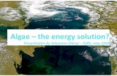 Algae – The Energy Solution2