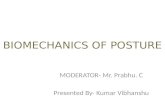 Biomechanics of posture
